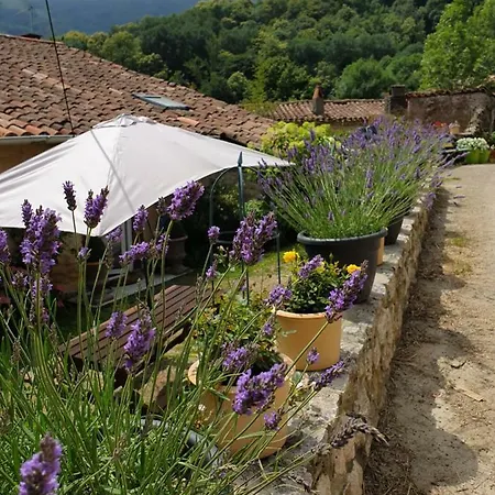 De Charme Holiday home
